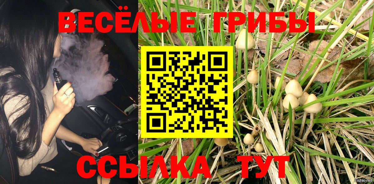 Псилоцибиновые грибы GOLDEN TEACHER Йошкар-Ола